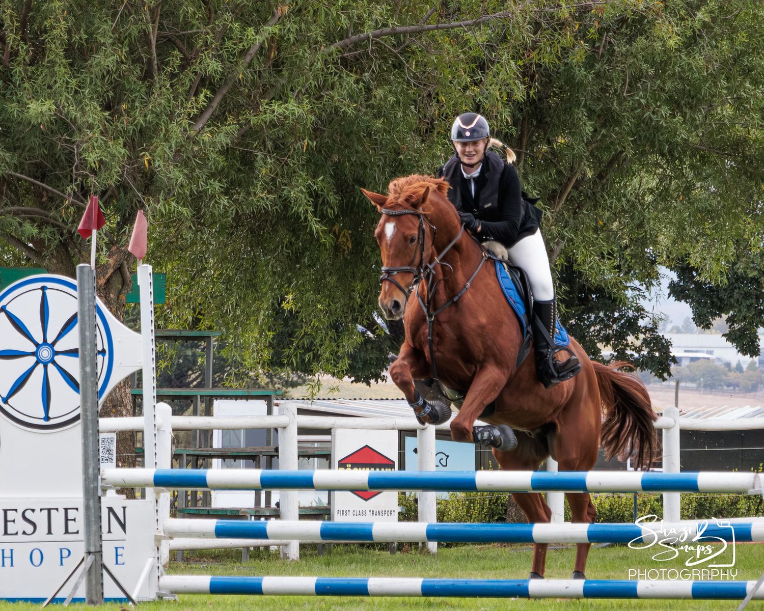 Horse 
Equine Photography