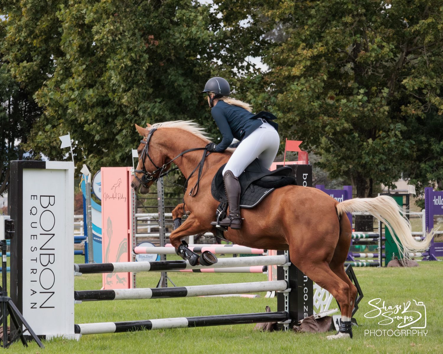 Horse 
Equine Photography