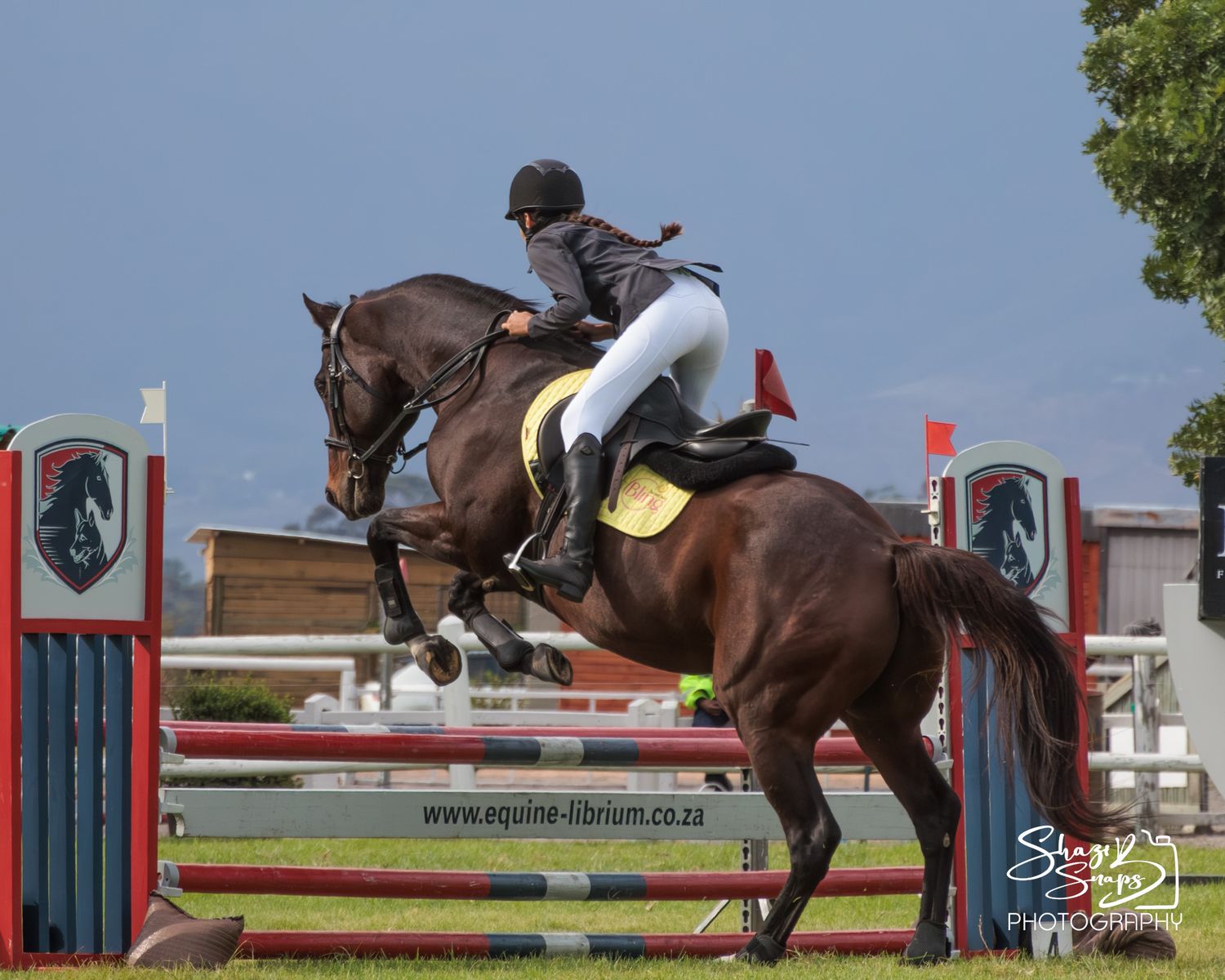 Horse 
Equine Photography
