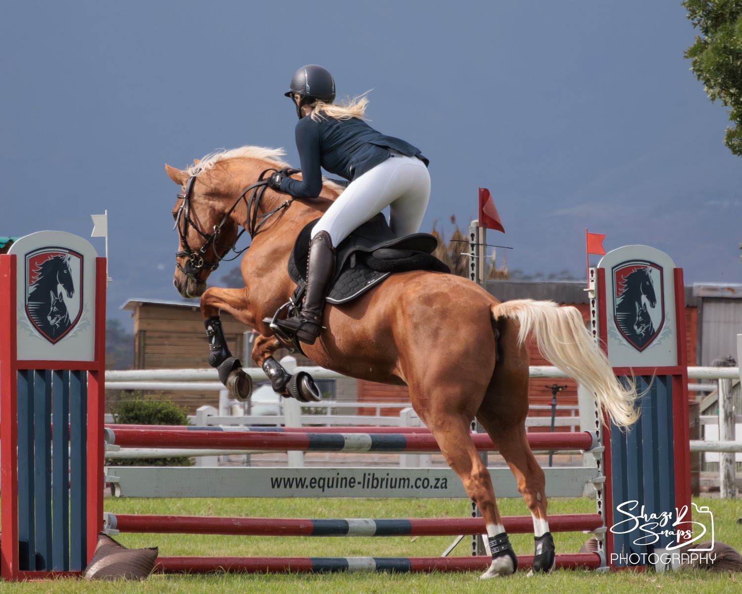 Horse 
Equine Photography