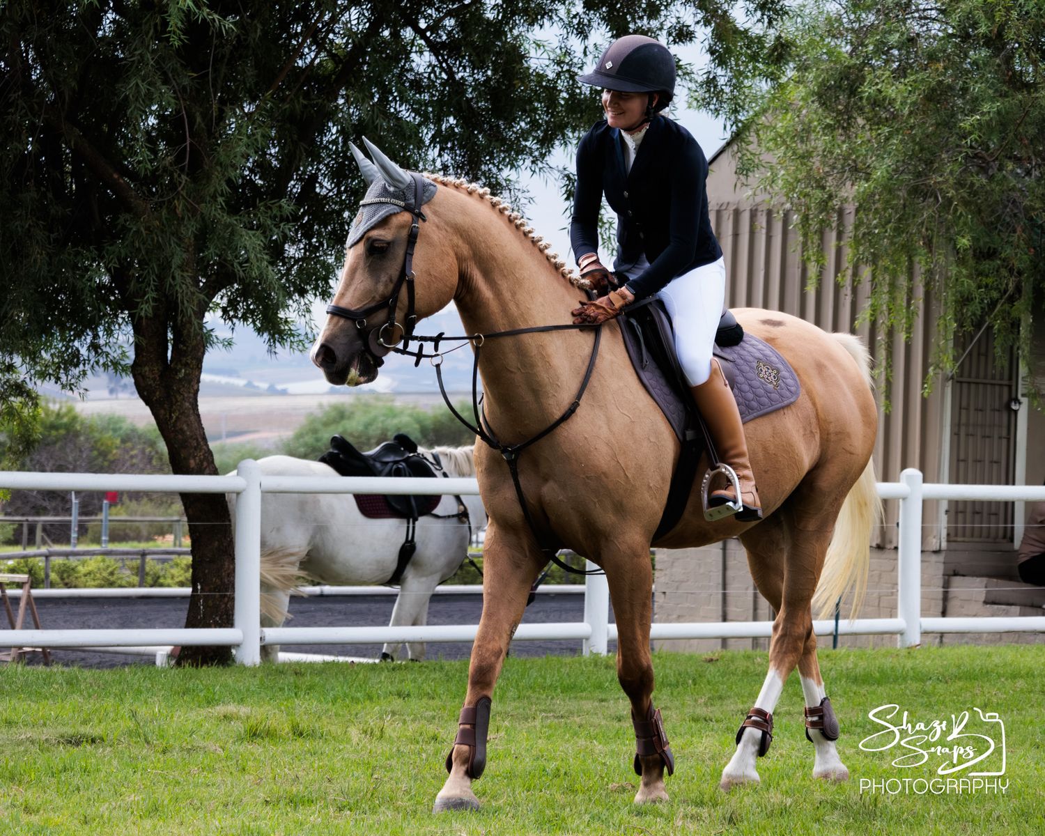 Horse 
Equine Photography