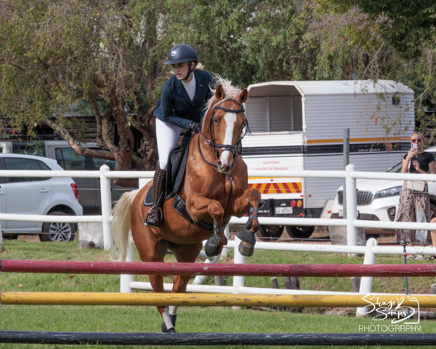 Horse 
Equine Photography