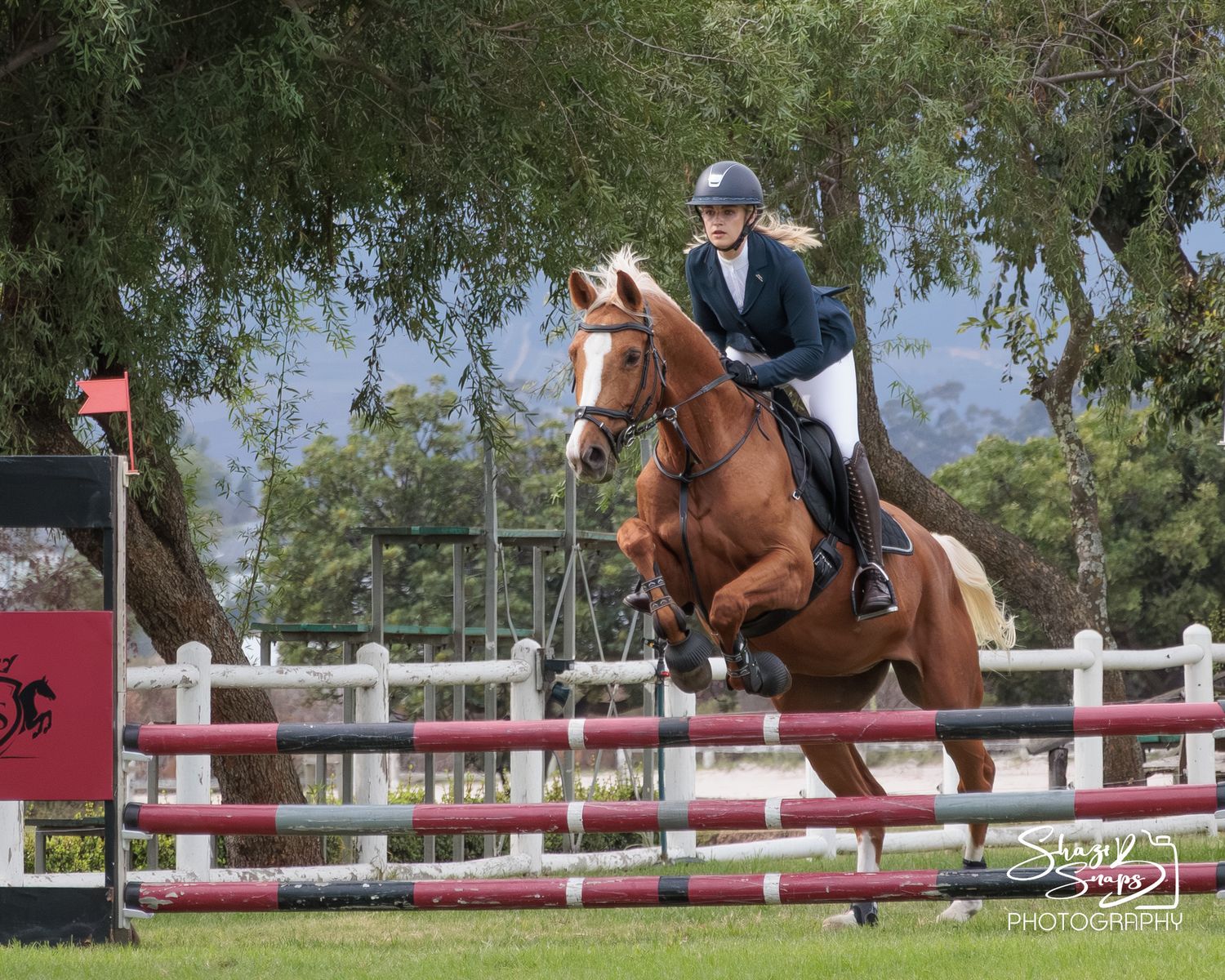 Horse 
Equine Photography