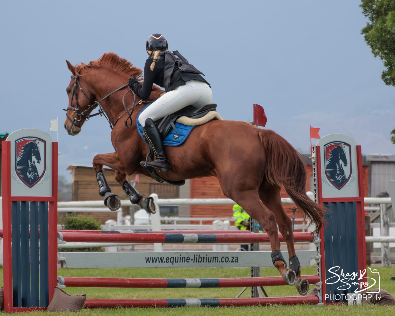 Horse 
Equine Photography