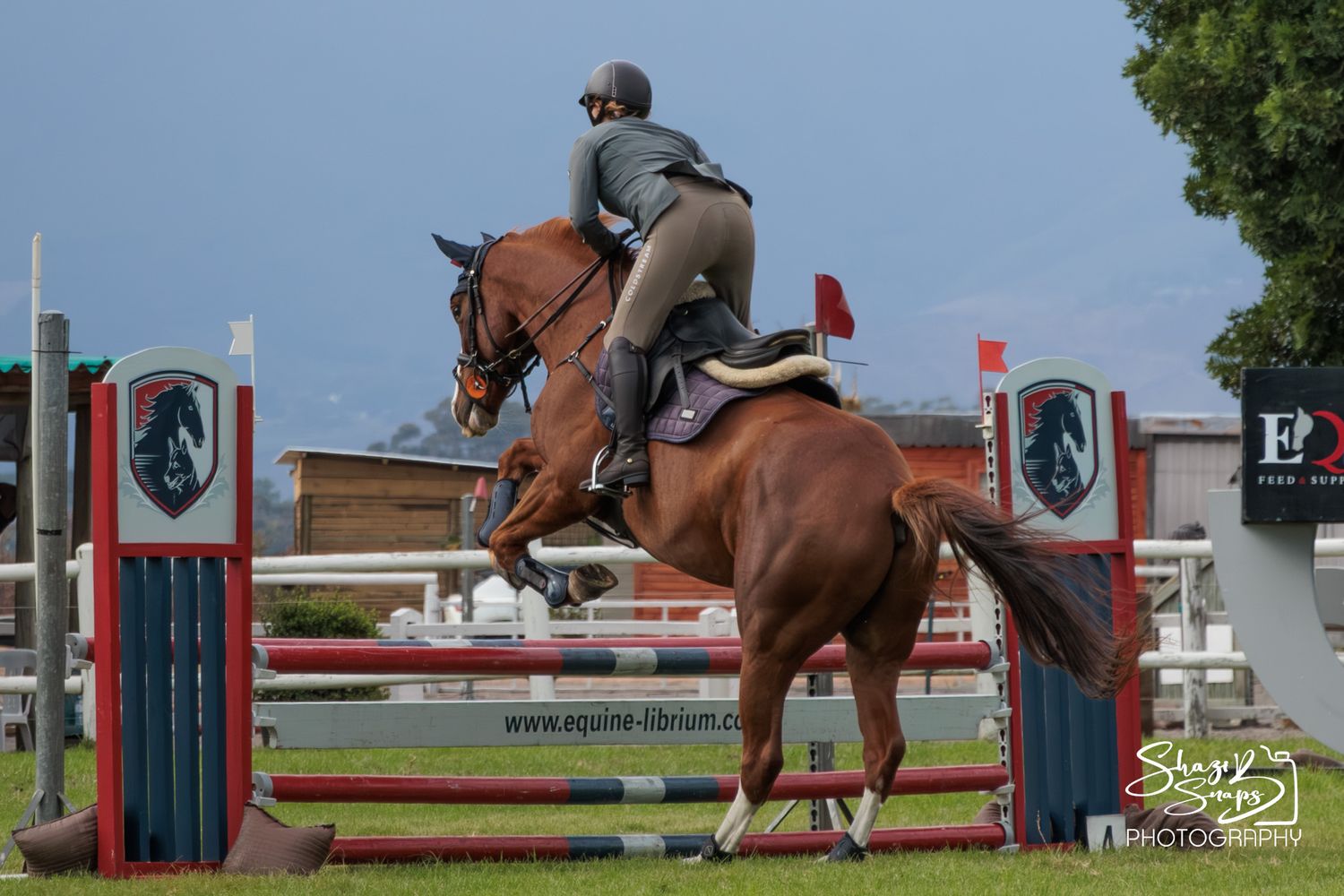 Horse 
Equine Photography