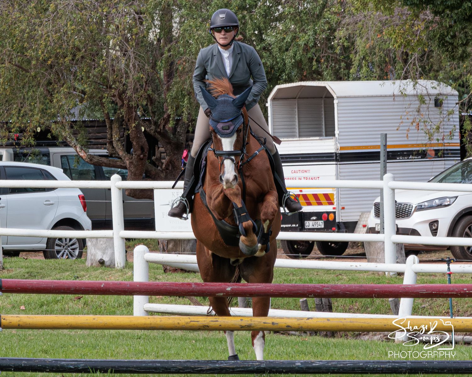 Horse 
Equine Photography