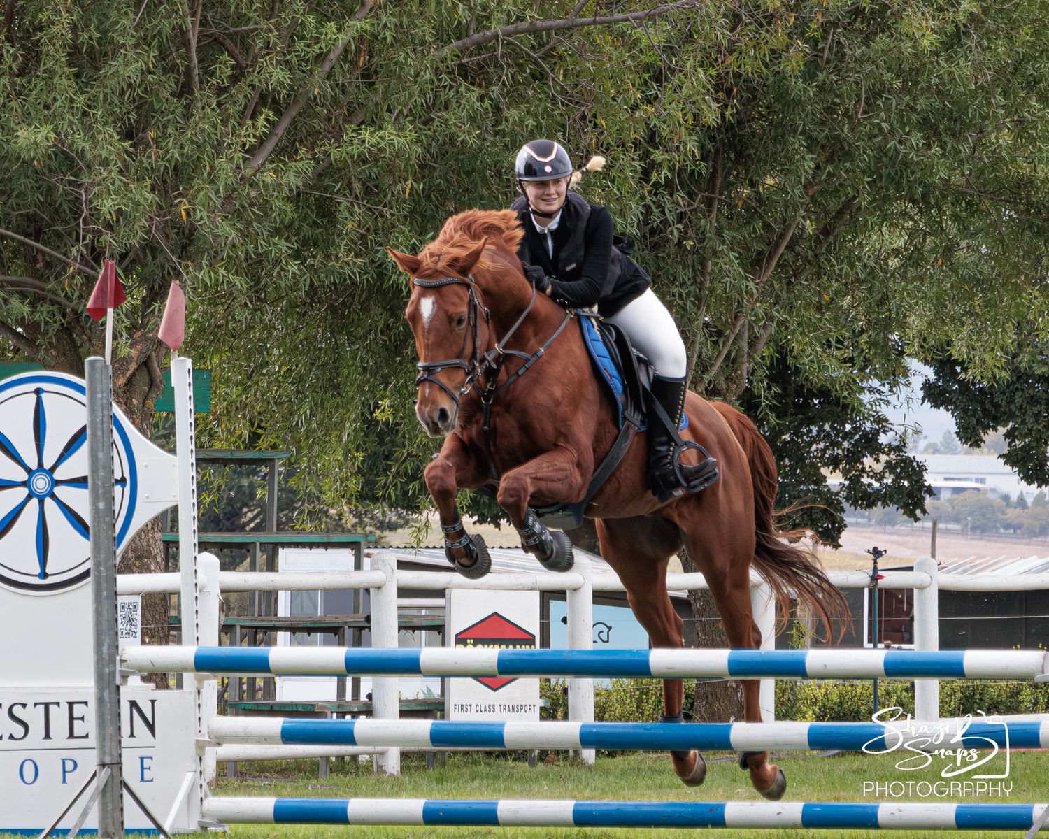 Horse 
Equine Photography
