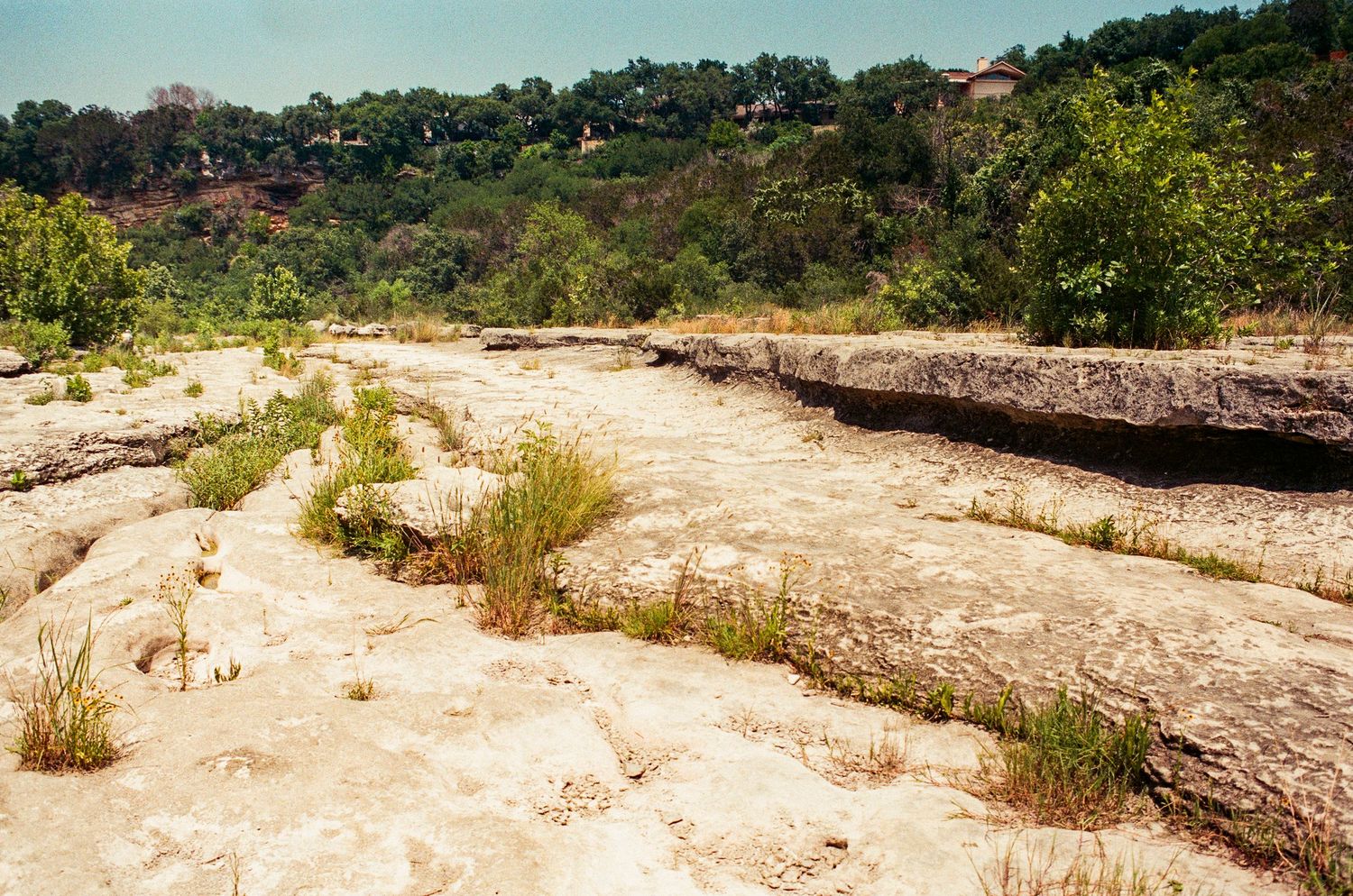 Dry rocky riverbed with sparse vegetation and lush green hillside in the background on a sunny day.