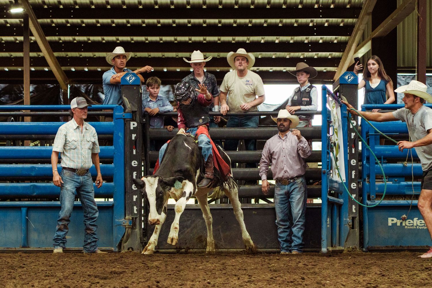 Cowboys prepare a bull rider at an indoor rodeo arena, with spectators watching from the gates.