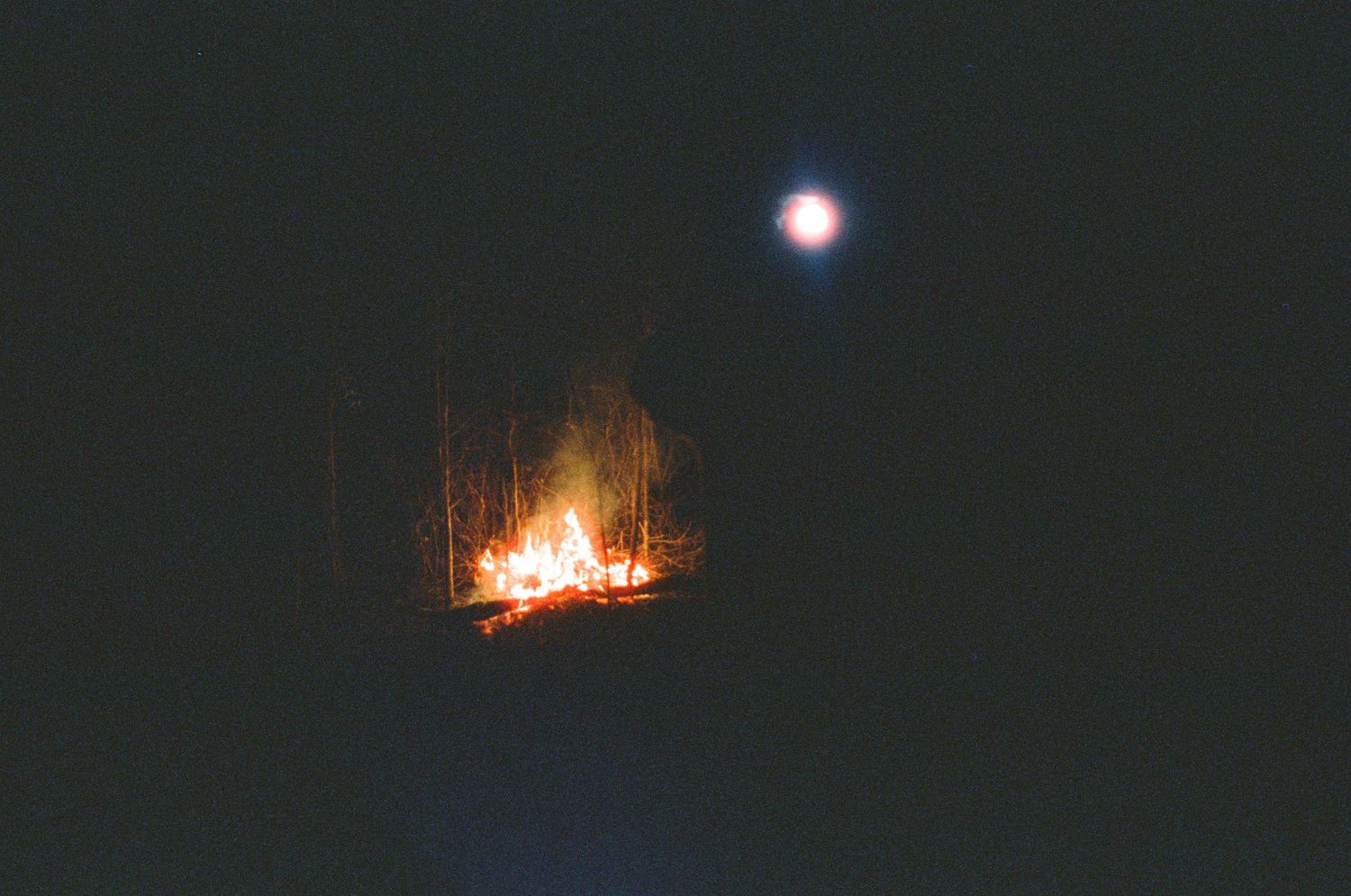 Campfire burning in dark night forest with full moon glowing above.