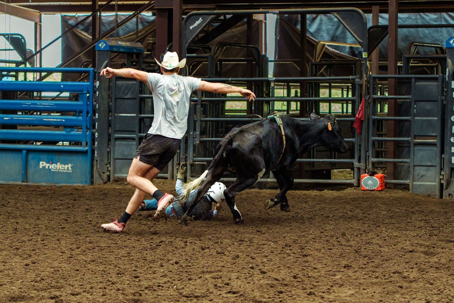A rodeo clown in a white hat distracts a black bull while a fallen rider lies on the dirt arena floor.