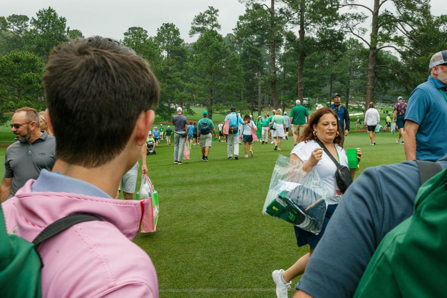 Crowd of spectators on a lush green golf course during a tournament, with pine trees in the background.