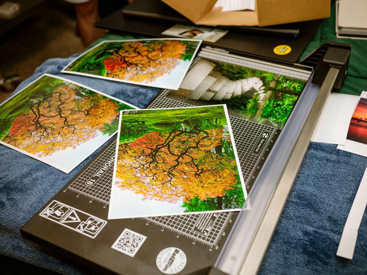 Close-up of colorful autumn tree photography prints stacked on a blue cloth surface.