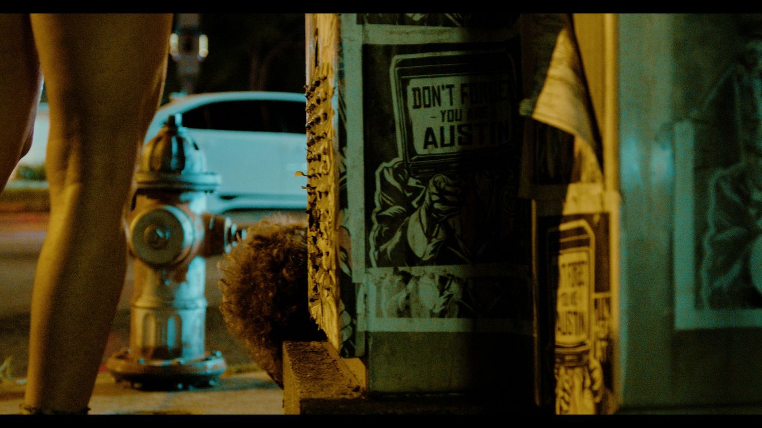 Urban street scene at night with fire hydrant, graffiti poster on wall reading 'Don't Feed the Animals'.