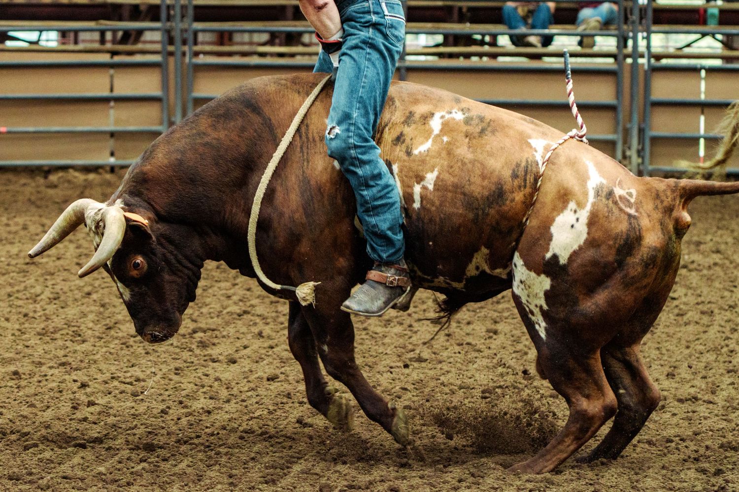 A cowboy rides a bucking brown and white bull during a rodeo competition in a dirt arena.
