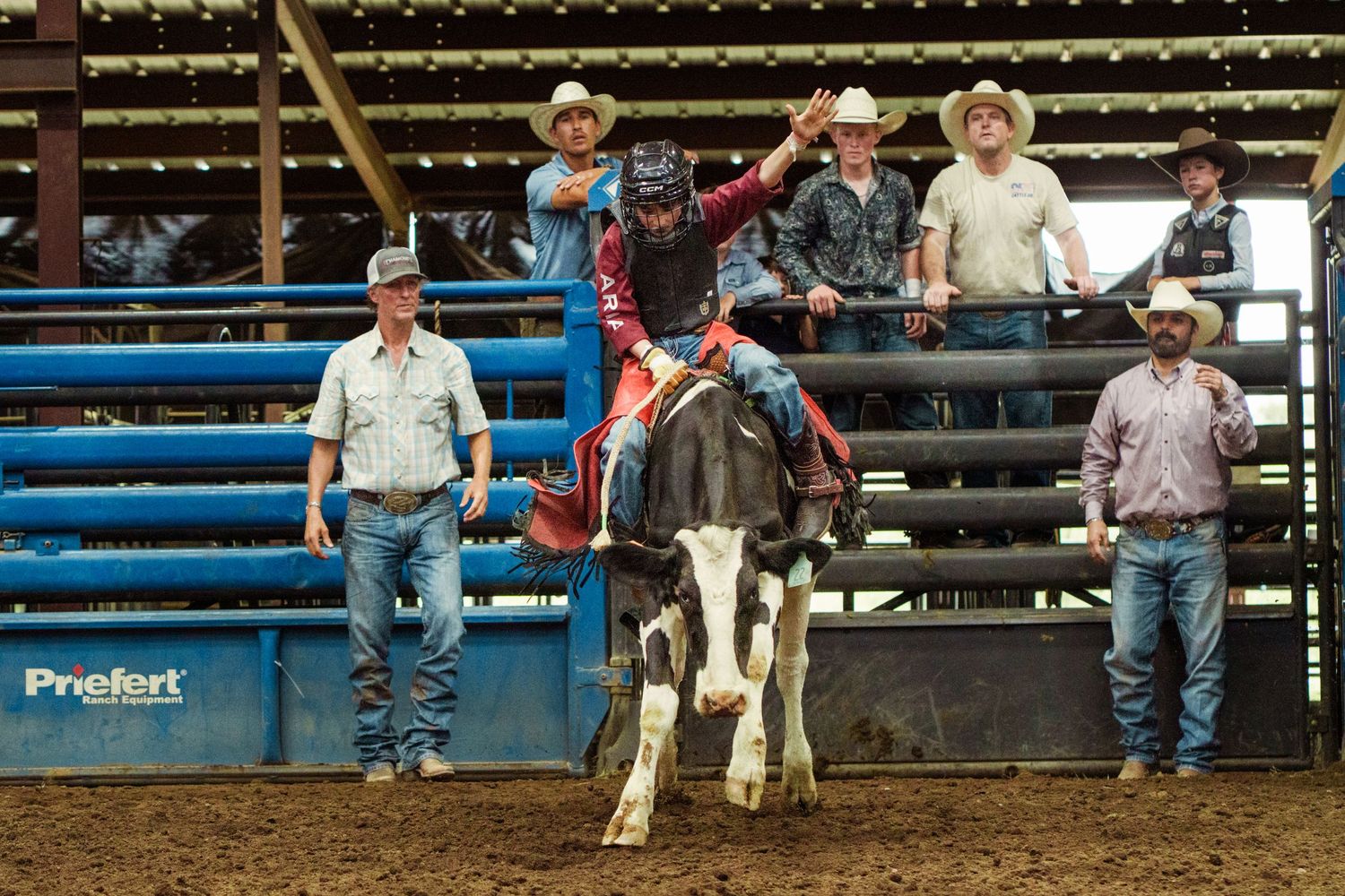 Rodeo rider on black and white bull at indoor arena, surrounded by cowboys near blue metal fence.