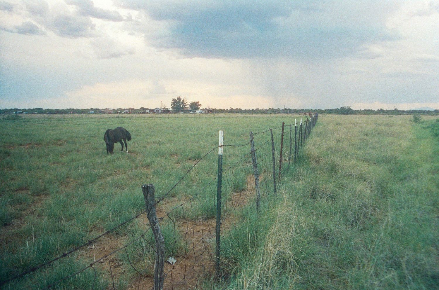 An elephant grazes in a vast green African savanna beside a wire fence under a dramatic cloudy sky.
