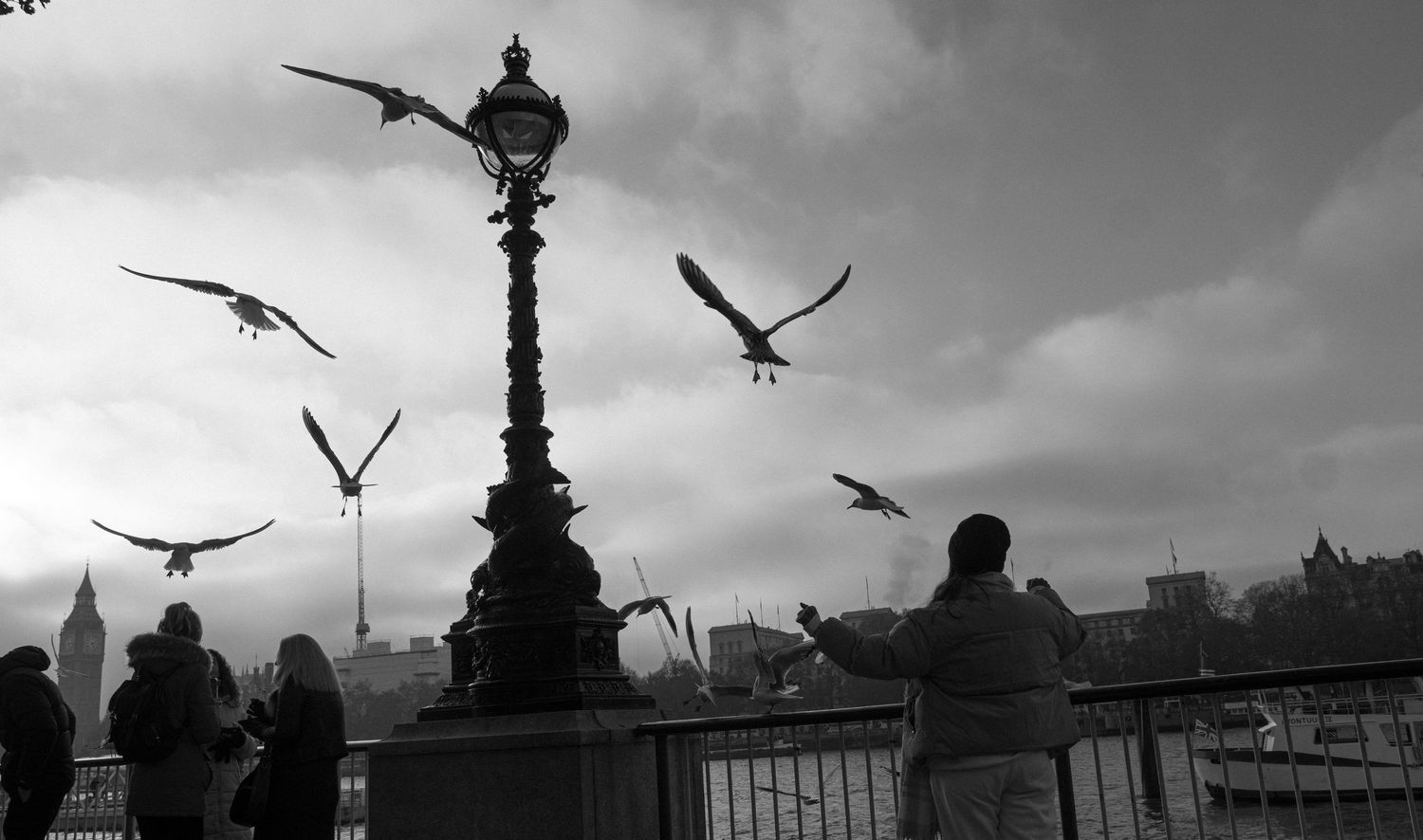 Black and white photo of seagulls flying around a vintage street lamp on a city bridge with people watching.
