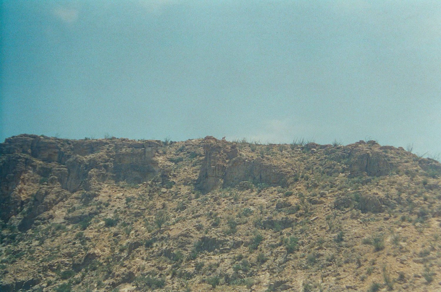 Rocky desert hillside under clear blue sky, showing arid terrain with sparse vegetation and rugged stone landscape.