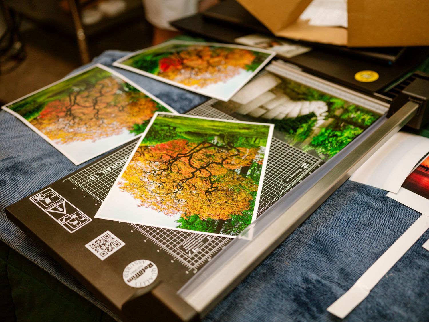 Multiple vibrant autumn tree landscape photo prints stacked on a surface ready for display.
