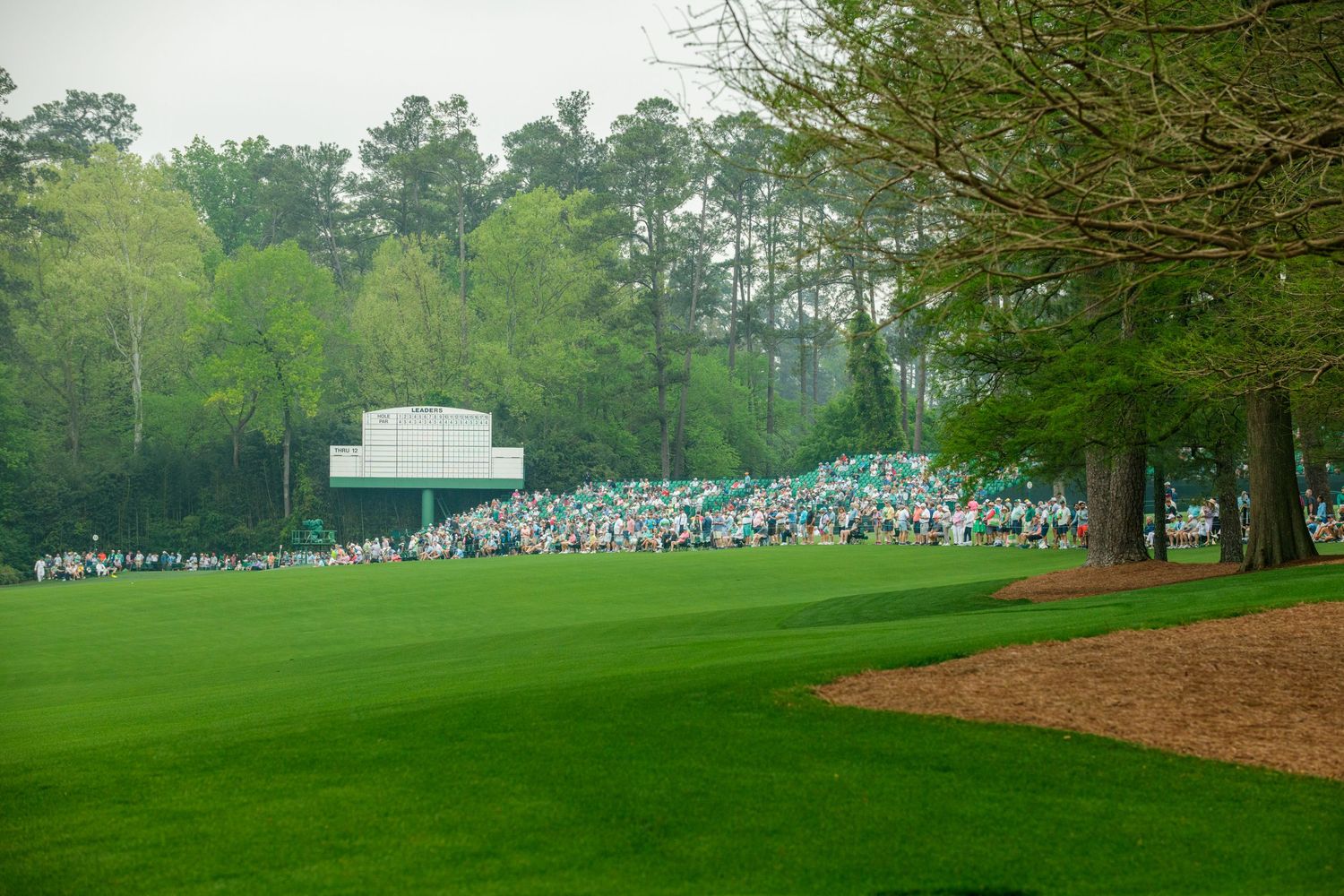 Lush green golf course fairway with spectators gathered near a scoreboard amid tall pine trees.
