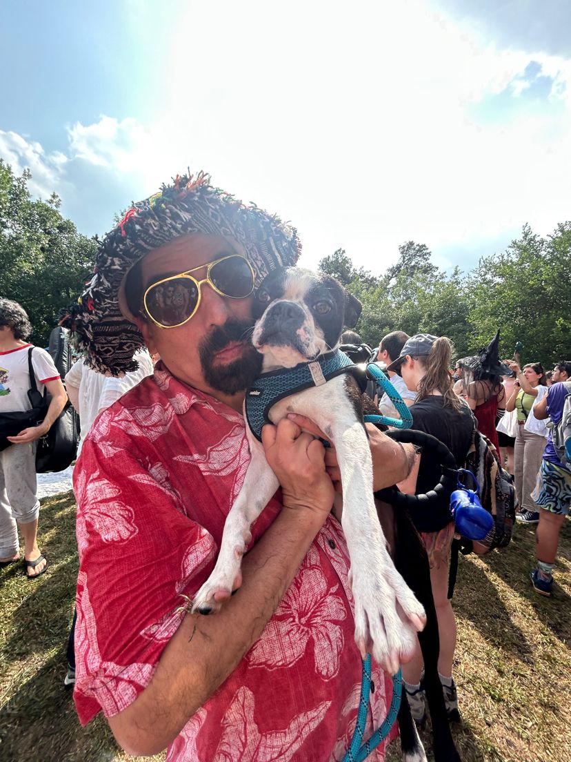 Person in costume with curly wig and mustache holding a Boston Terrier dog at an outdoor festival.
