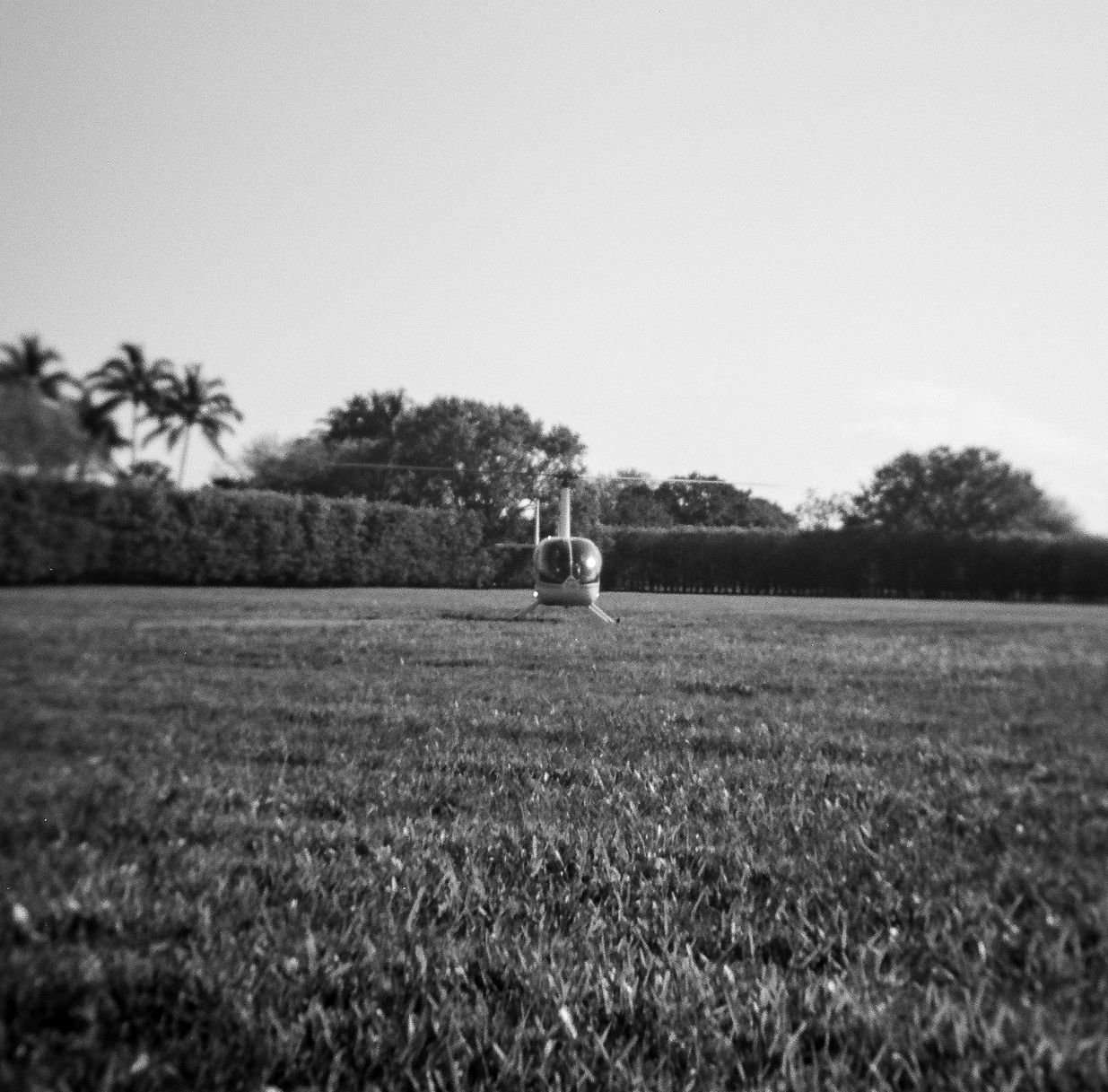 A small helicopter sits on a manicured lawn surrounded by hedges and palm trees in black and white.