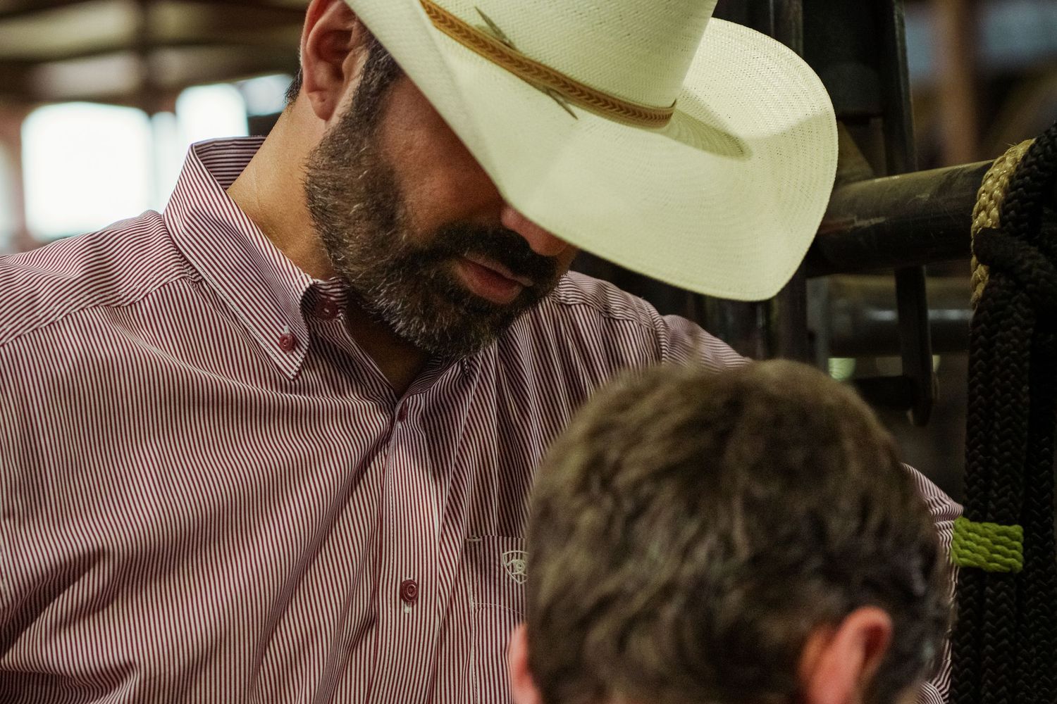 A bearded man wearing a white cowboy hat and pink button-up shirt looks down at a rodeo event.