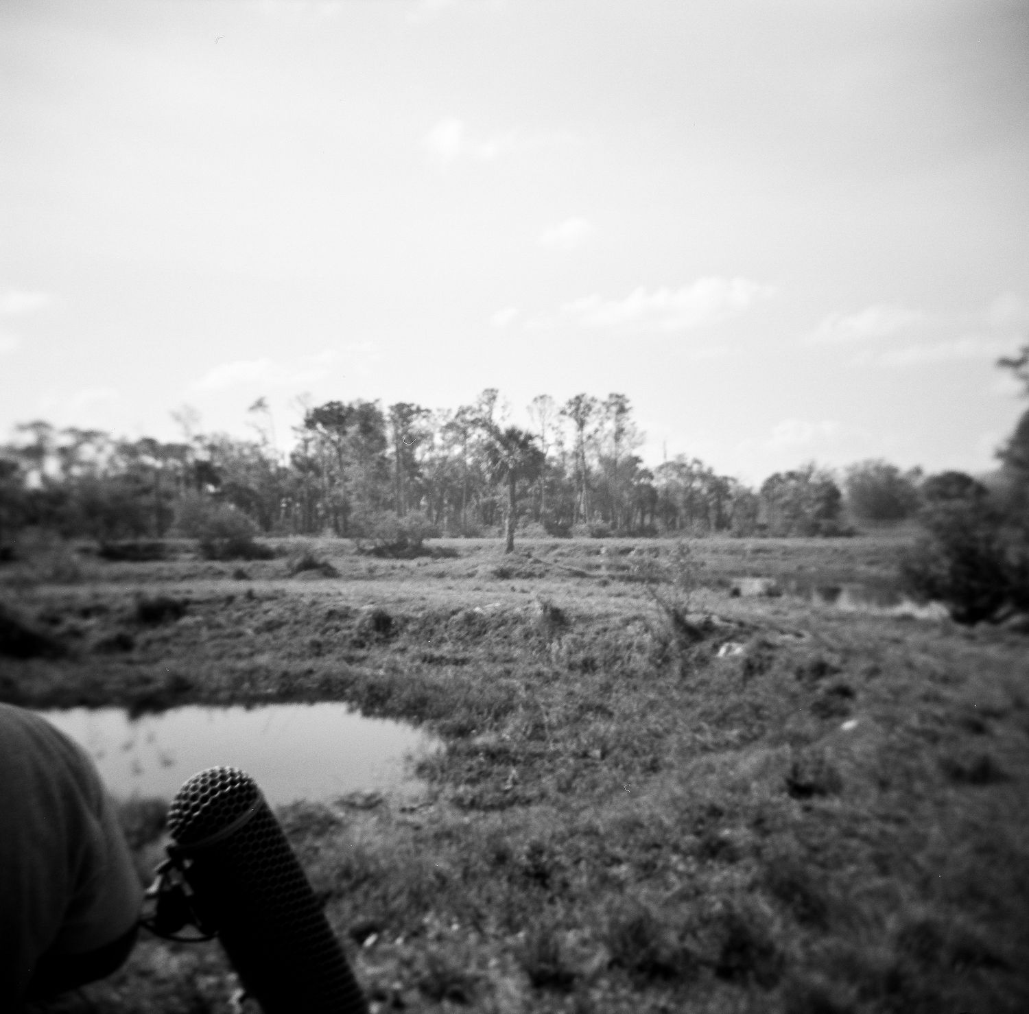 Black and white landscape of a marshy field with a small pond and distant tree line.