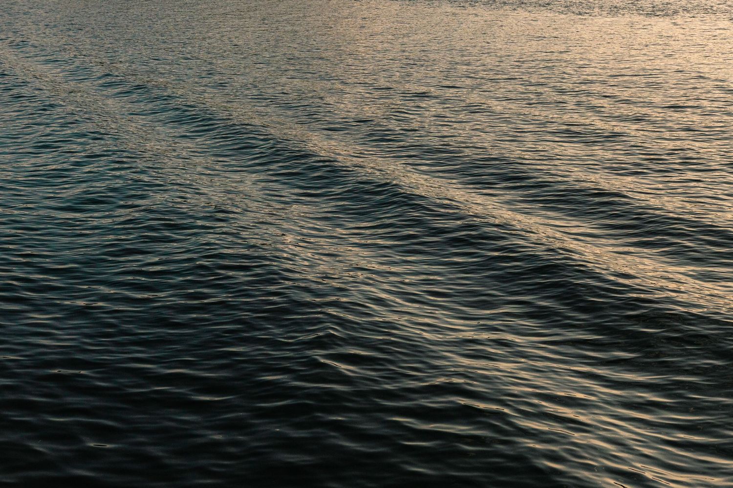 Calm dark ocean water with golden light reflections creating diagonal streaks across gentle rippling waves at sunset.