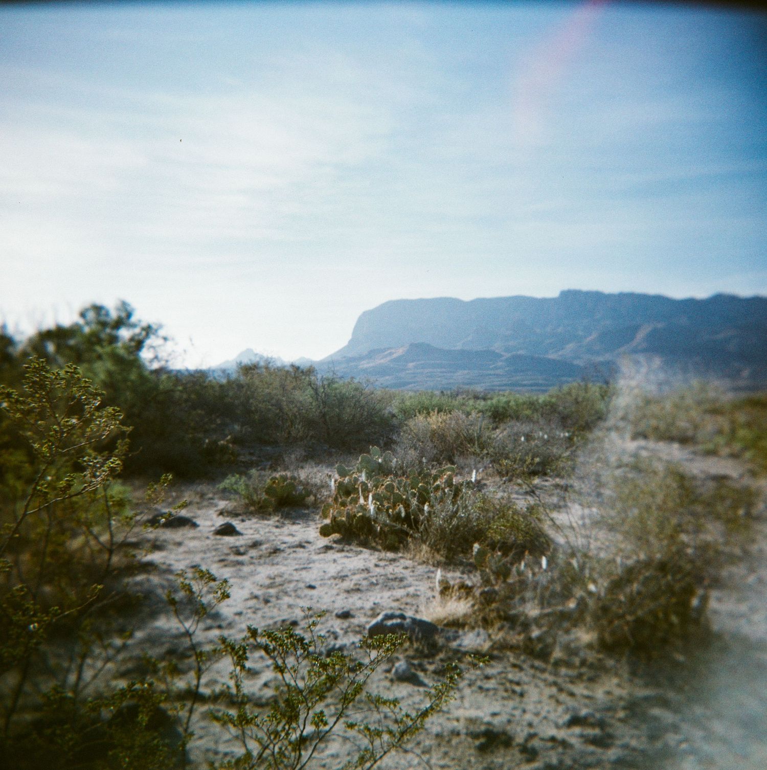 Arid desert landscape with sparse shrubs, sandy terrain, and a flat-topped mesa under a hazy blue sky.