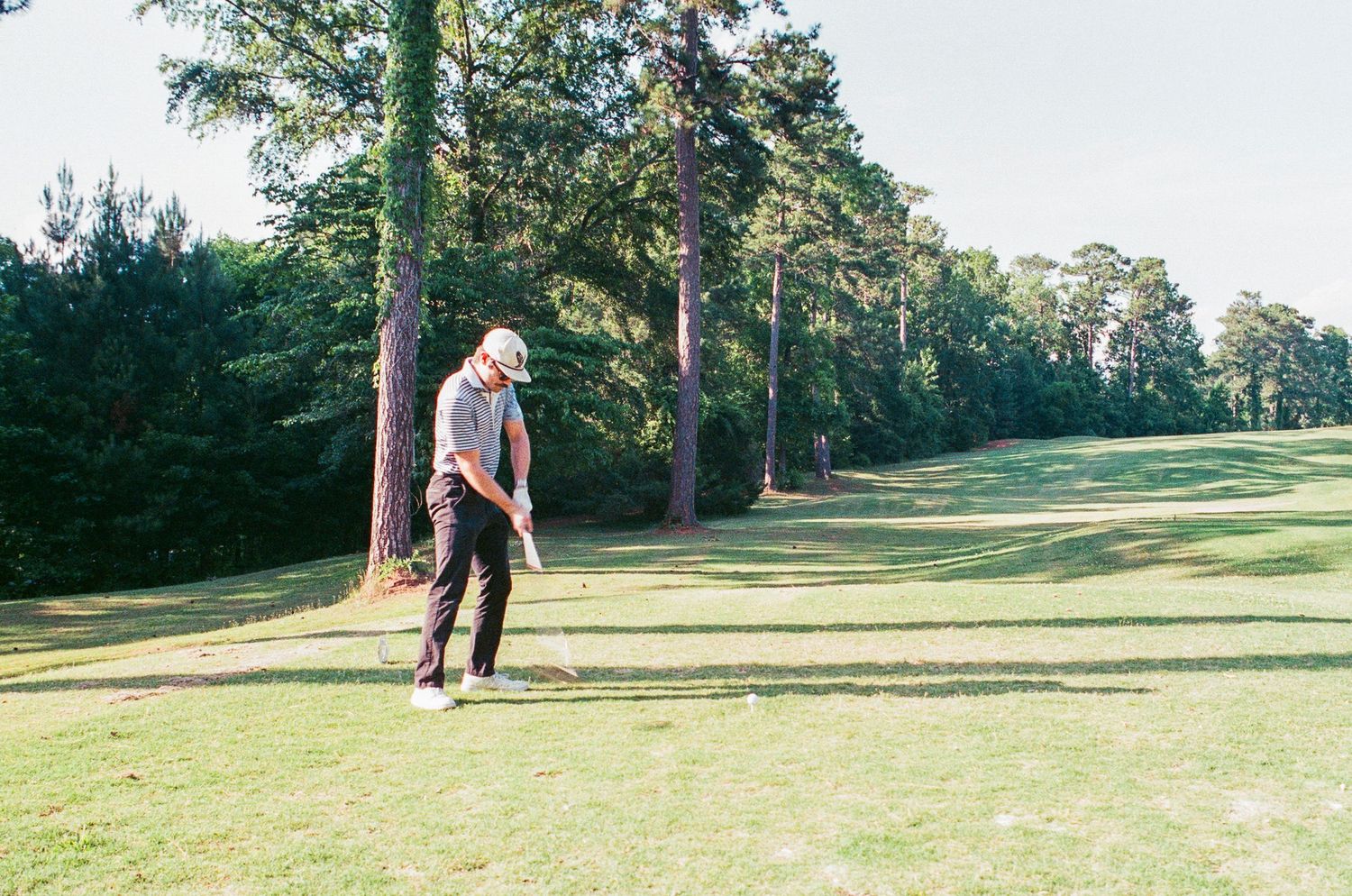 Golfer swinging a club on a lush green golf course surrounded by tall pine trees on a sunny day.