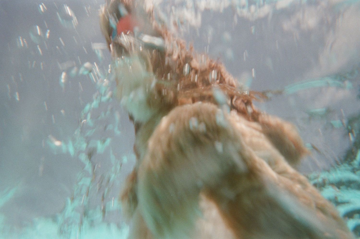 Underwater photo of a dog swimming in a pool with bubbles and splashing water around it.