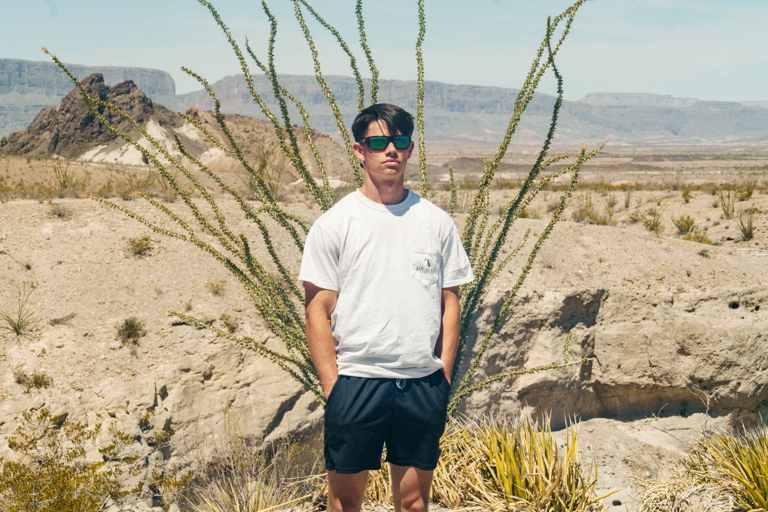 Man in white tee and shorts standing in arid desert landscape with cacti and rocky mountains in background.