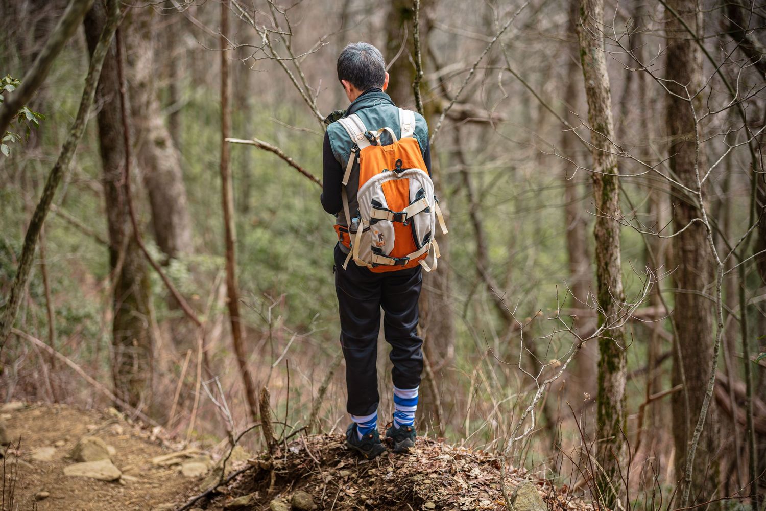 Child with orange backpack hiking alone through a dense forest trail surrounded by bare trees.