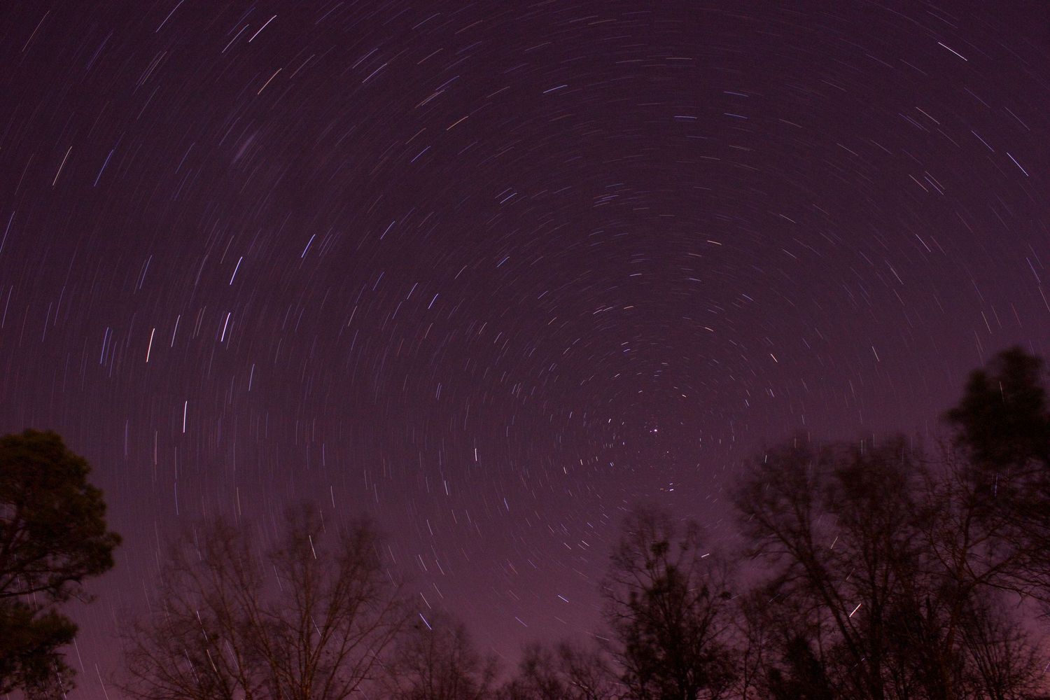 Long exposure night sky photo showing circular star trails above silhouetted trees against a purple twilight background.