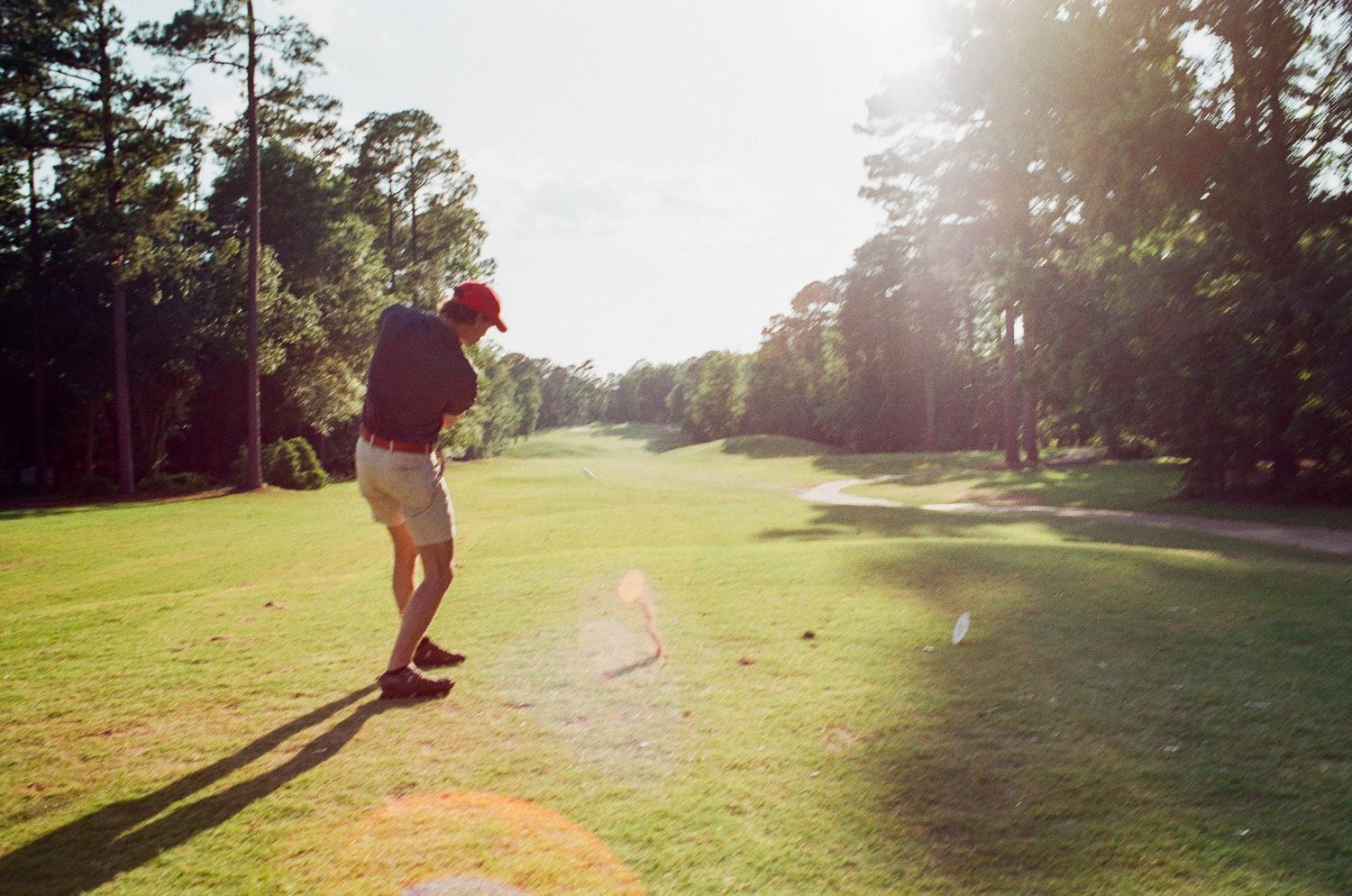 Golfer swinging a club on a sunny golf course surrounded by tall pine trees.
