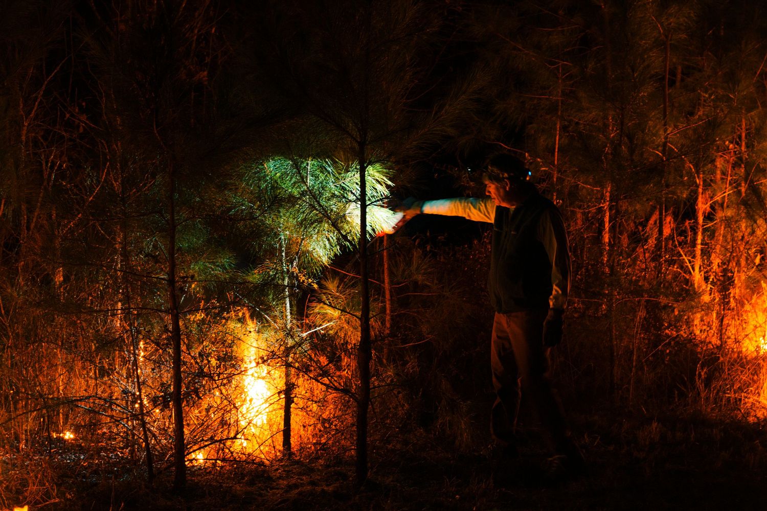 Person standing in a forest at night surrounded by glowing wildfire flames among trees.