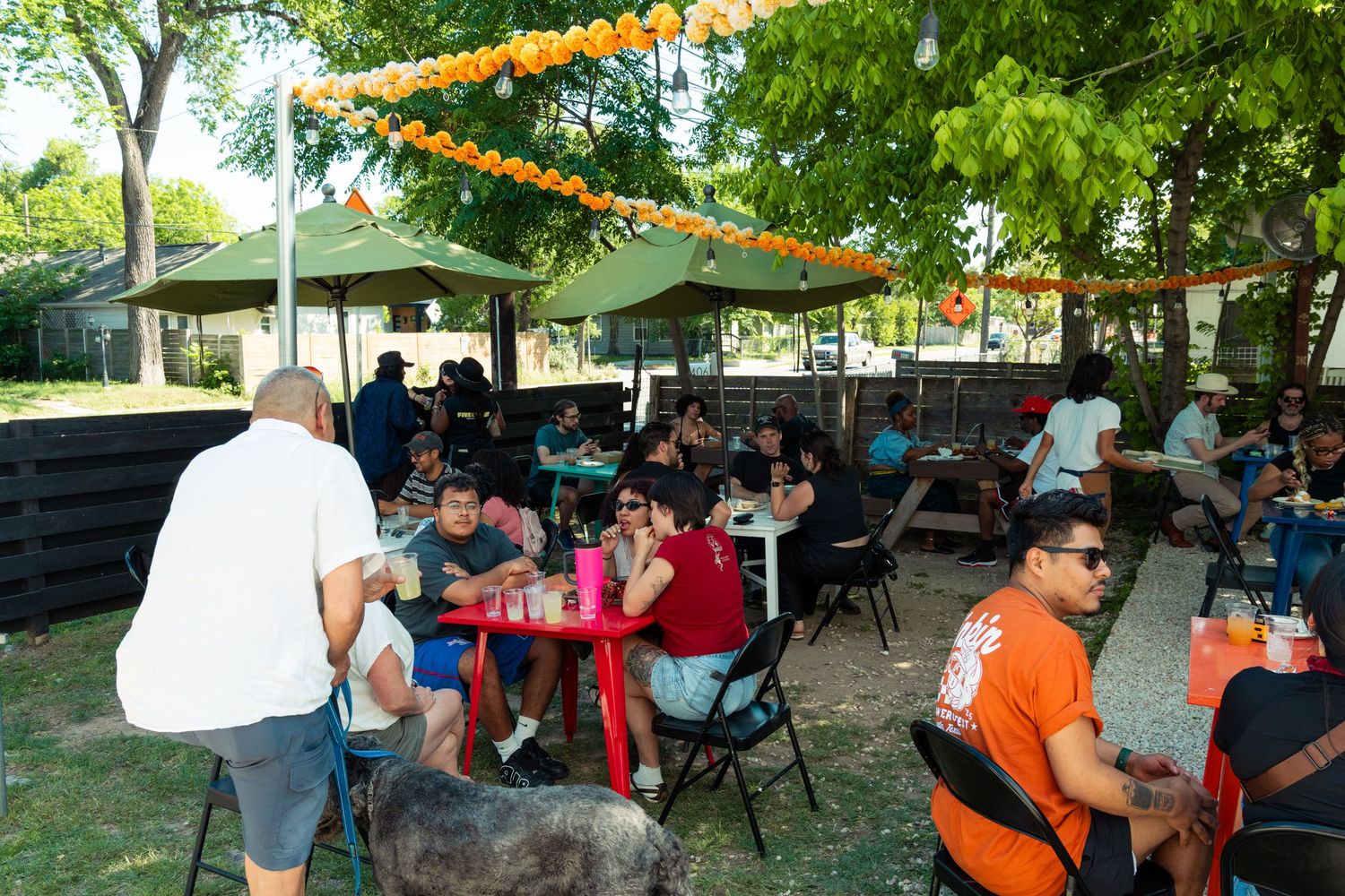 Diverse group of people dining at outdoor tables under shaded trees at a casual gathering.