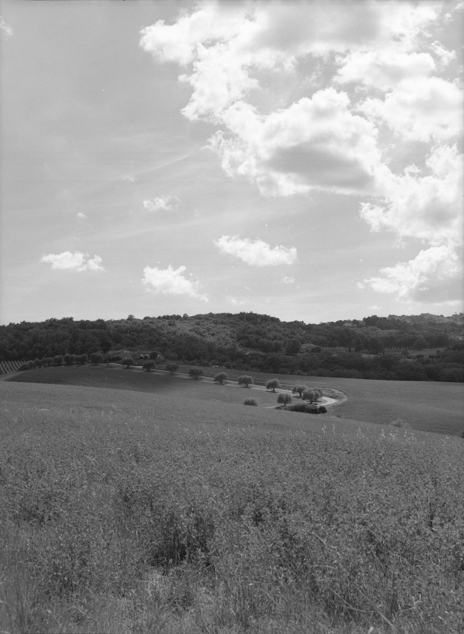 Black and white landscape photo of rolling farmland fields with trees and forested hills under a cloudy sky.