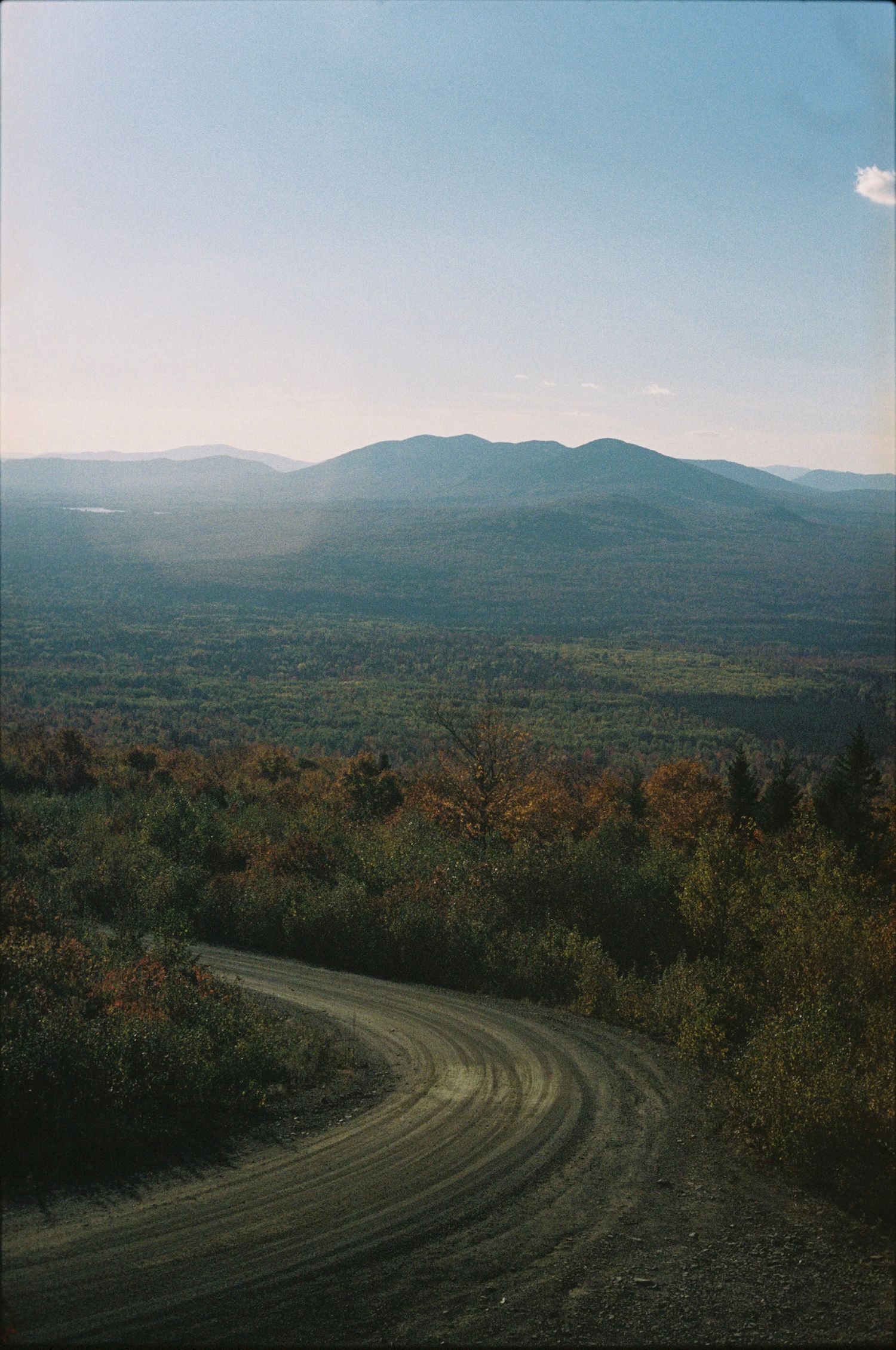 Winding dirt road through autumn forest leading to distant mountain range under clear blue sky.