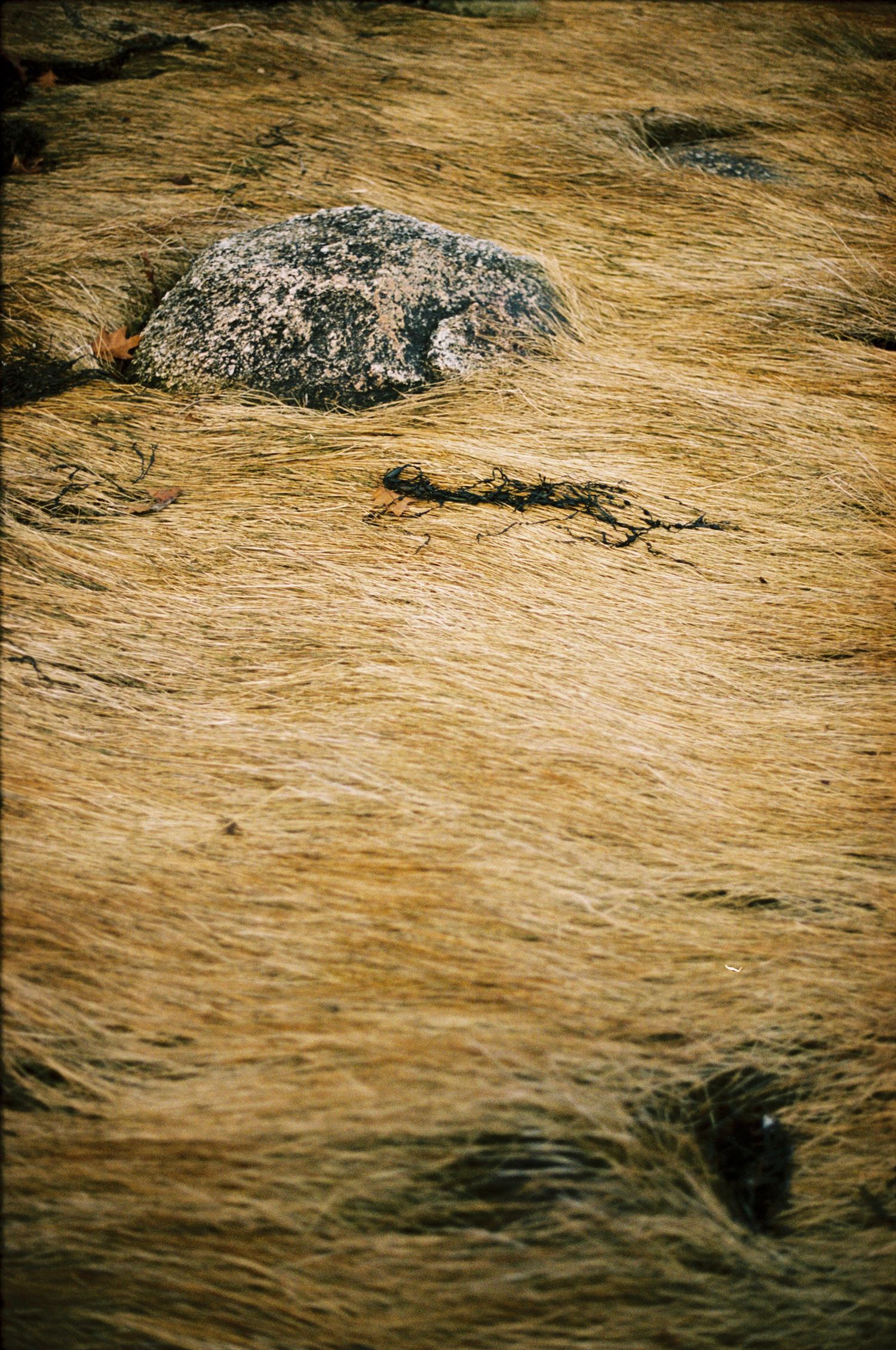 Close-up of textured sandstone rock surface with natural grain patterns and an embedded gray stone.
