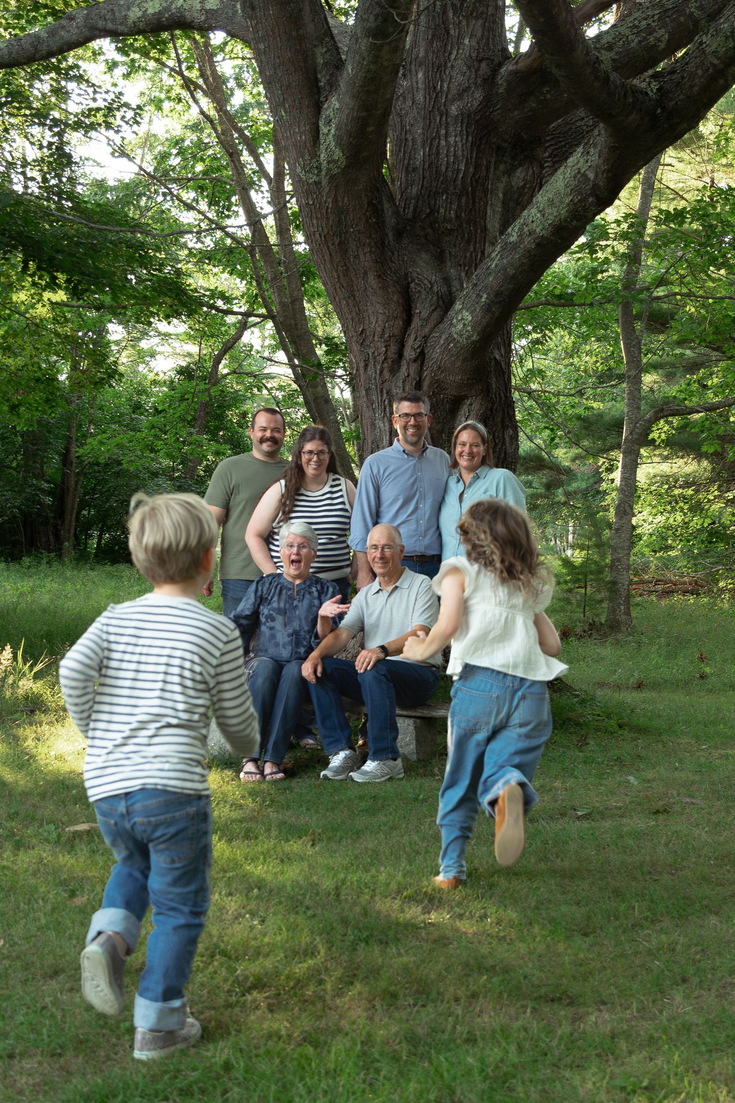 Multi-generational family gathering outdoors under a large tree, with children running toward seated grandparents on a sunny day.
