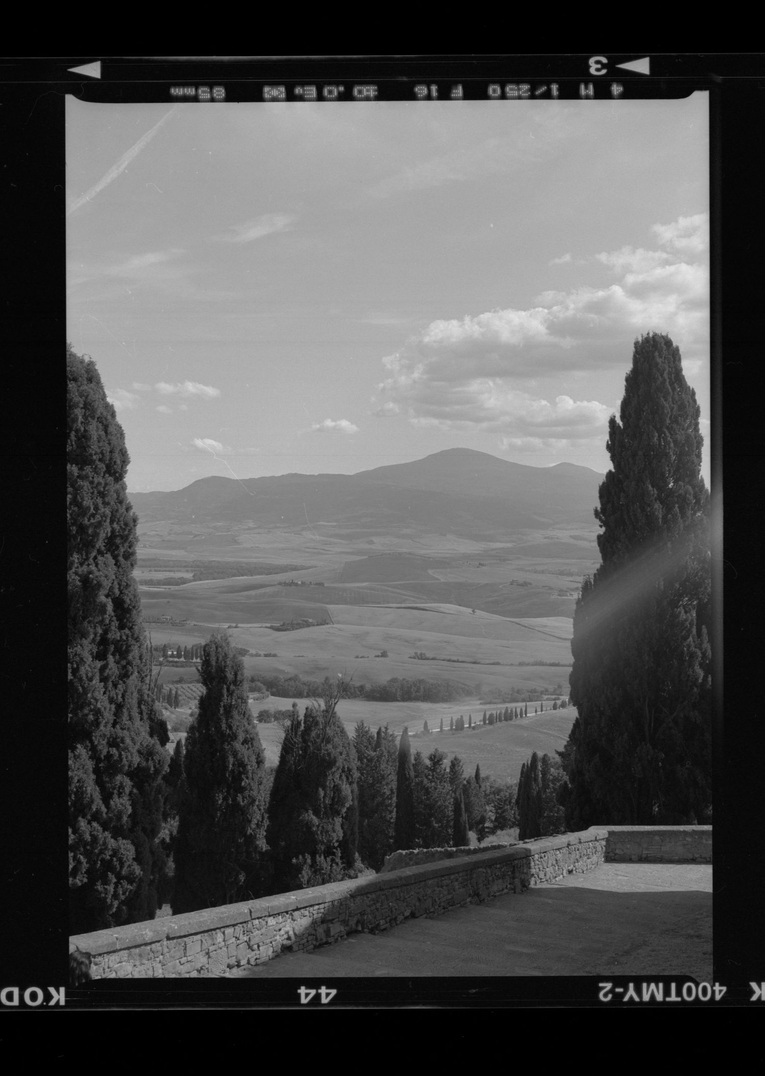 Black and white landscape photo of Tuscan valley with cypress trees framing rolling hills and mountains under cloudy sky.
