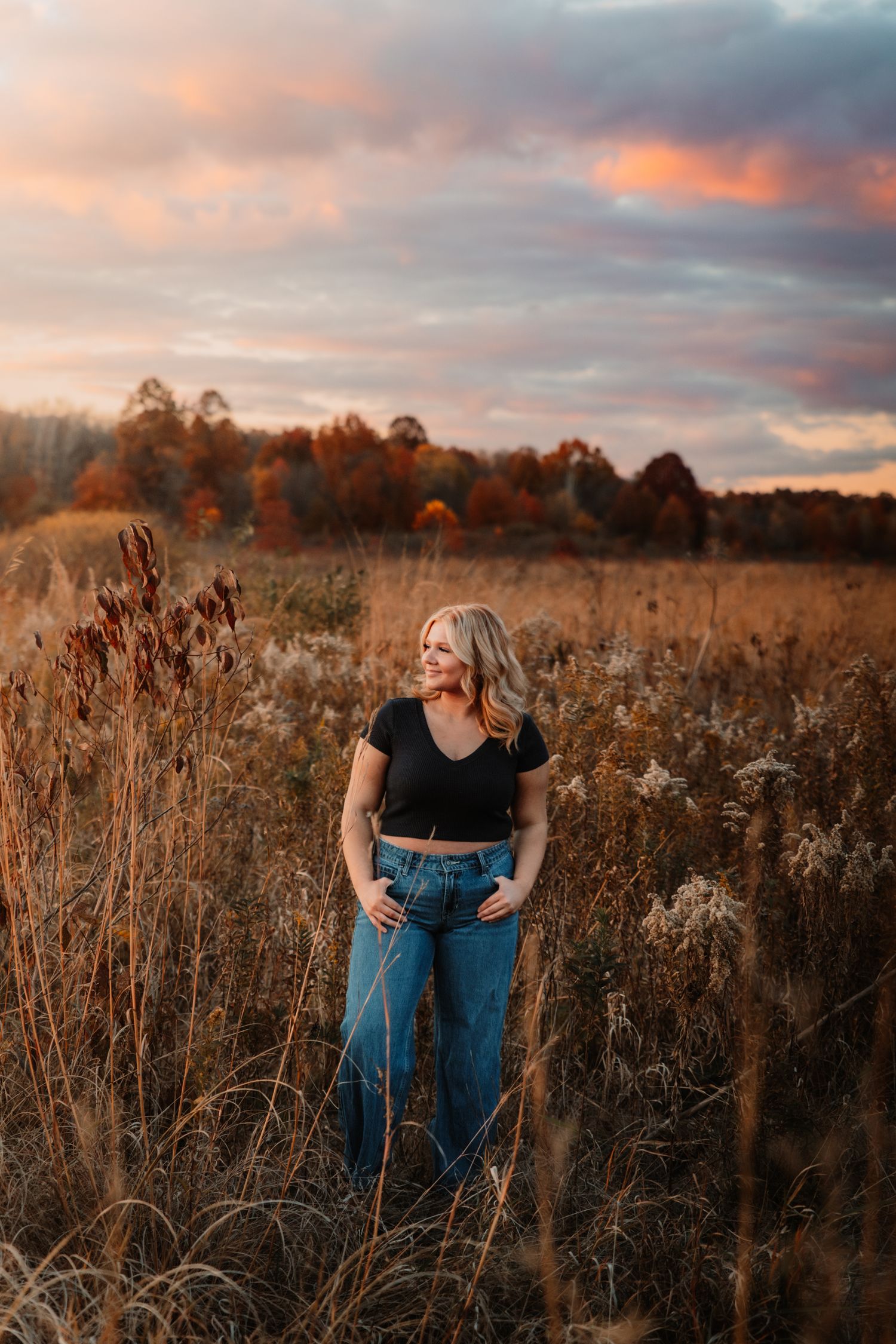 Golden sunset illuminates autumn field with tall grass and golden wildflowers under dramatic pink clouds.