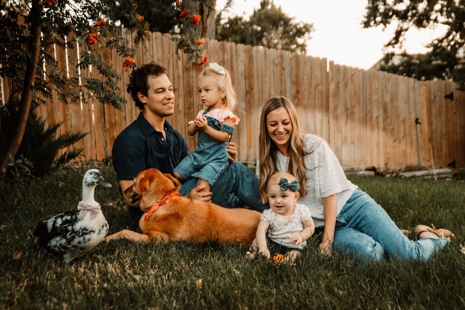 A family relaxes in their backyard on the grass with their two dogs and baby during golden hour.