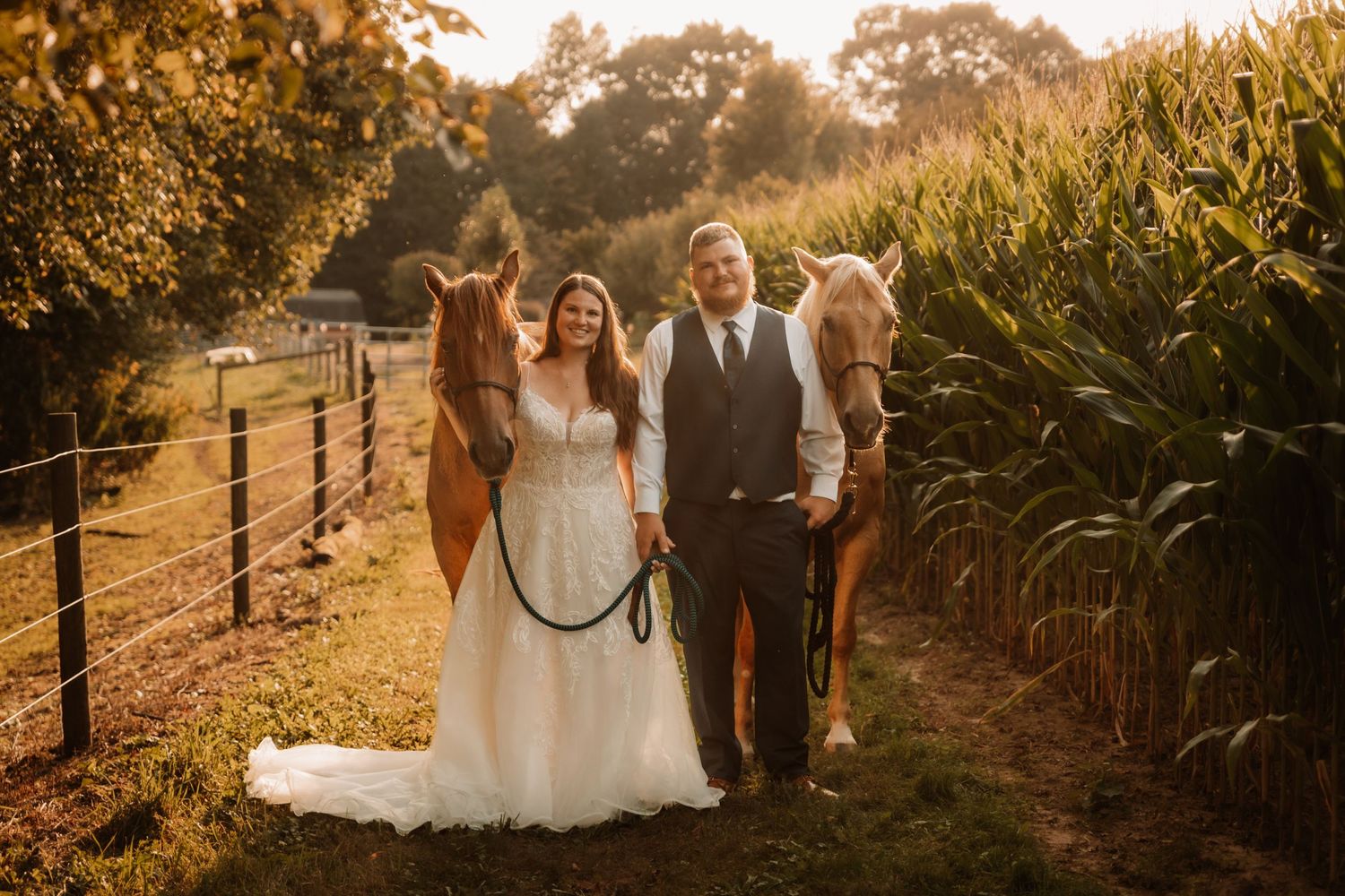A romantic couple poses with their horses along a fence at sunset, with golden light illuminating the rural cornfield setting.