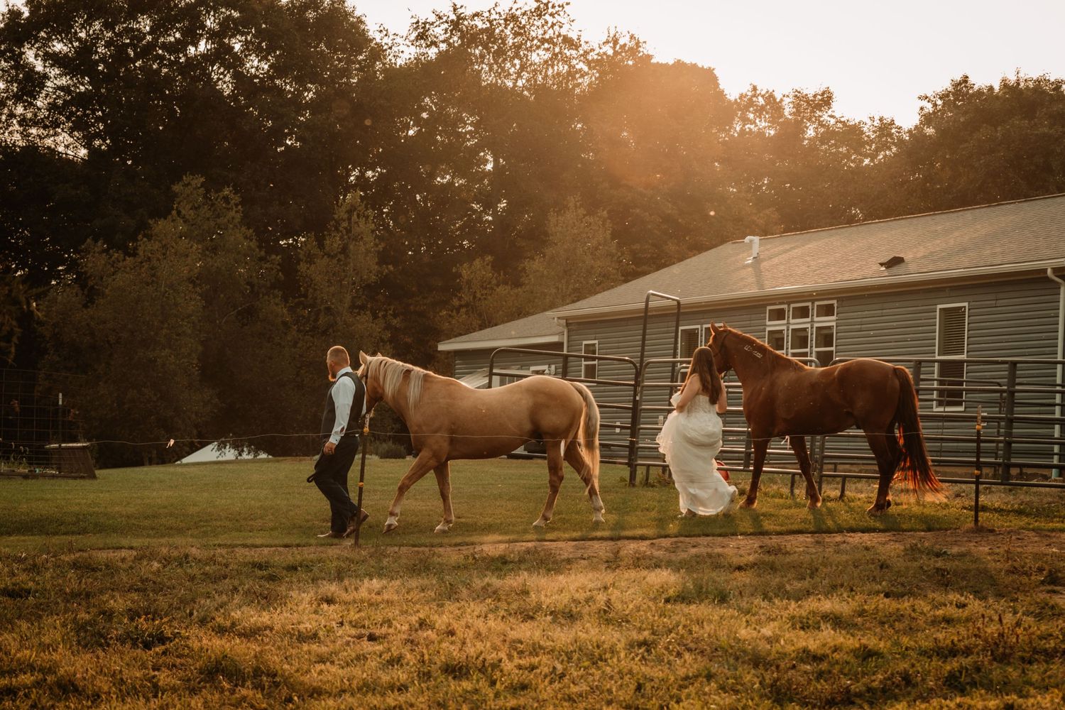 A romantic sunset scene with a couple and two horses in a rustic farm setting during golden hour.