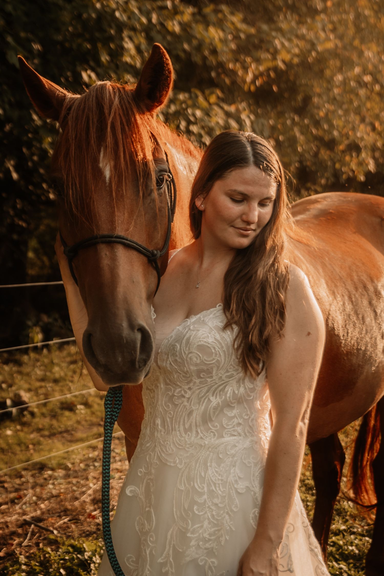A warm sunset portrait of someone in a white lace wedding dress standing next to a chestnut brown horse in nature.