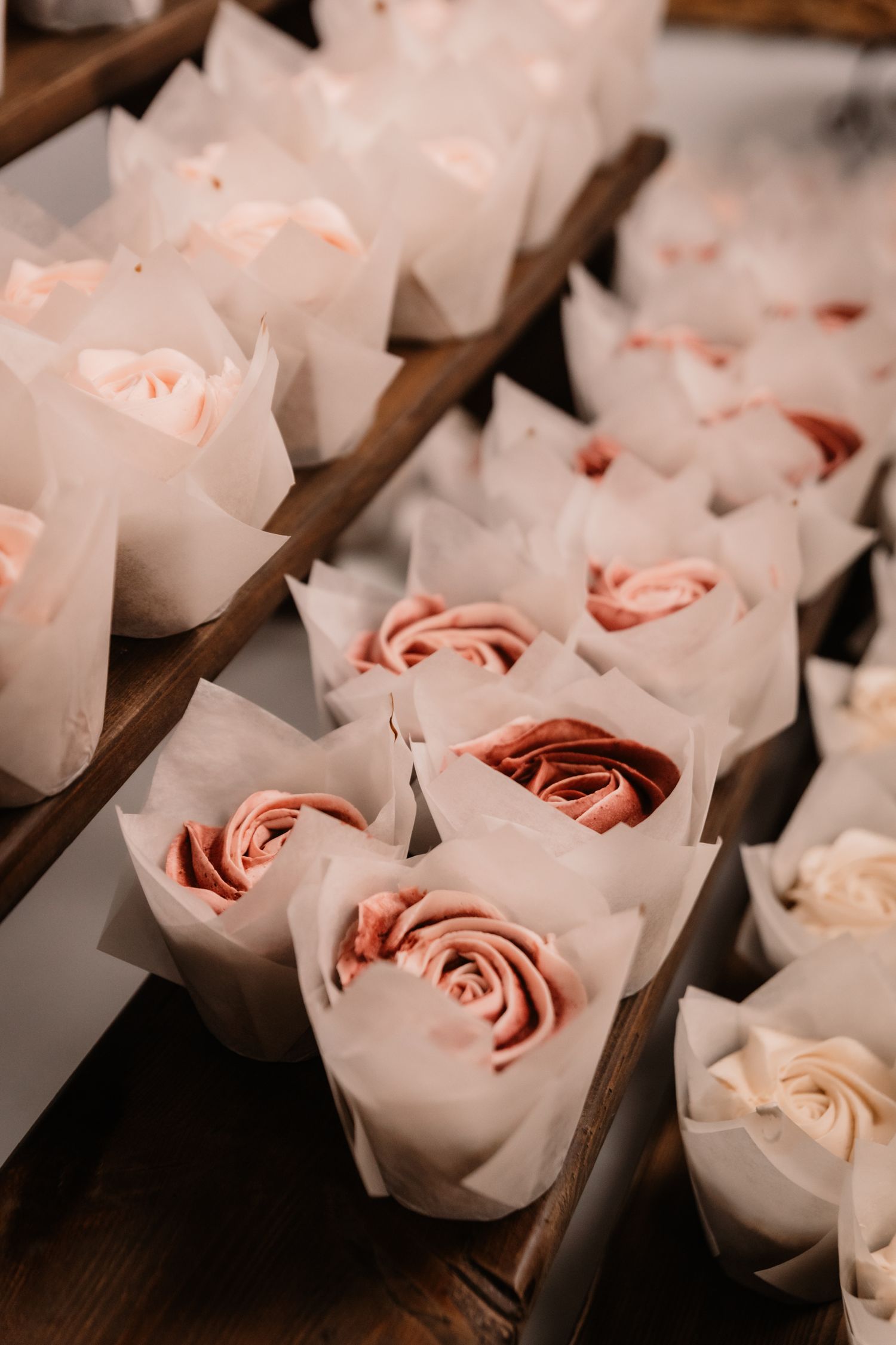 Beautiful pink roses individually wrapped in white paper create an elegant display on a dark wooden surface.